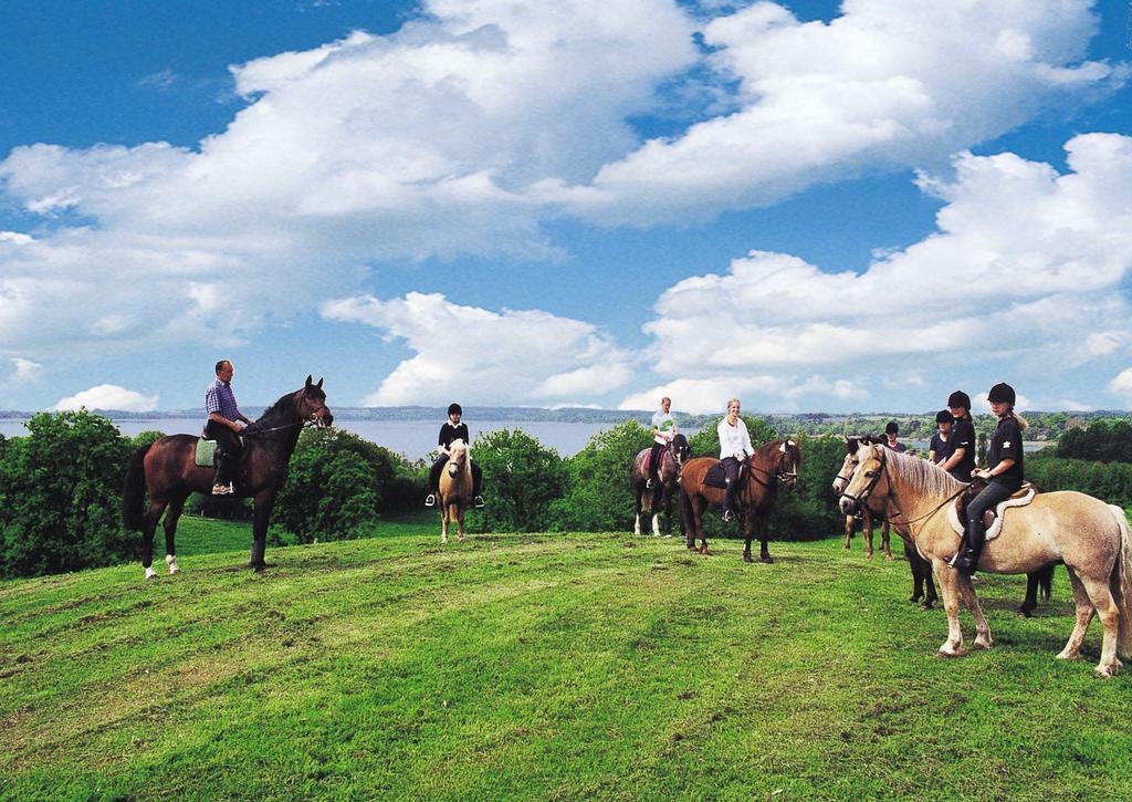 Ponyhof Naeve Am Wittensee Gross Wittensee Екстериор снимка
