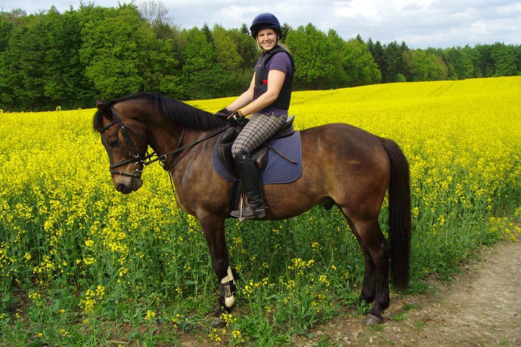 Ponyhof Naeve Am Wittensee Gross Wittensee Екстериор снимка